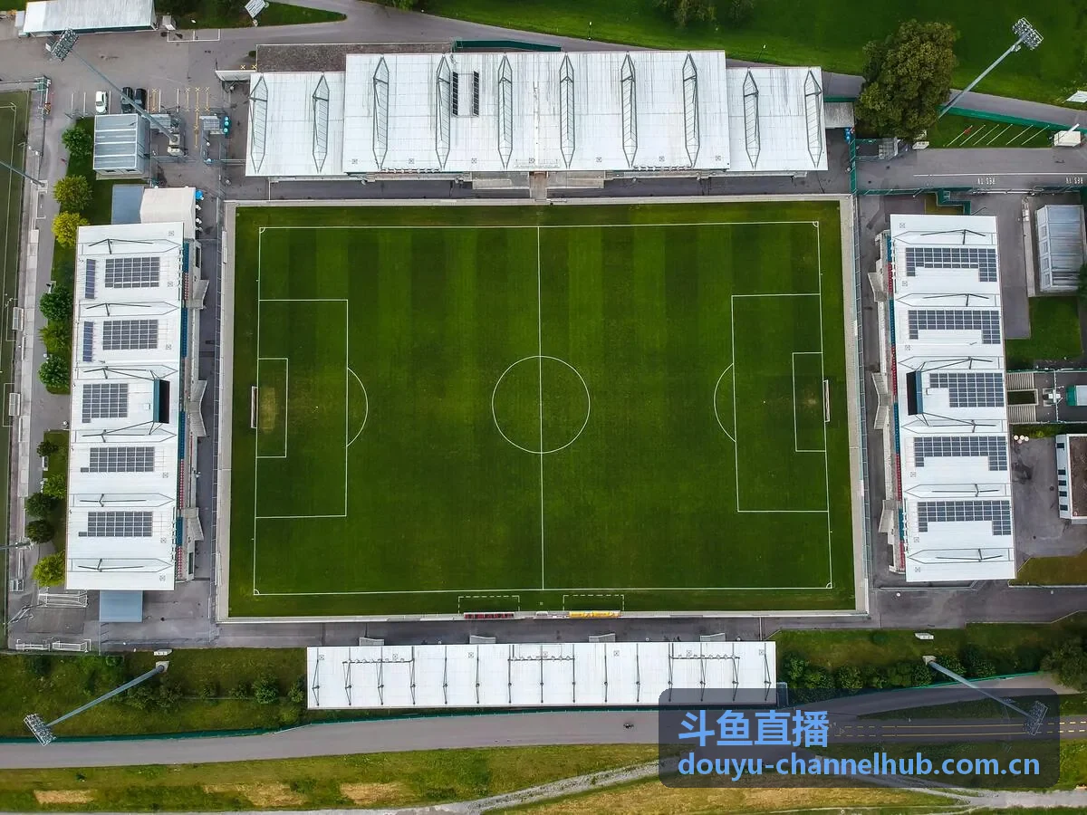 斗鱼直播音乐科技频道推荐